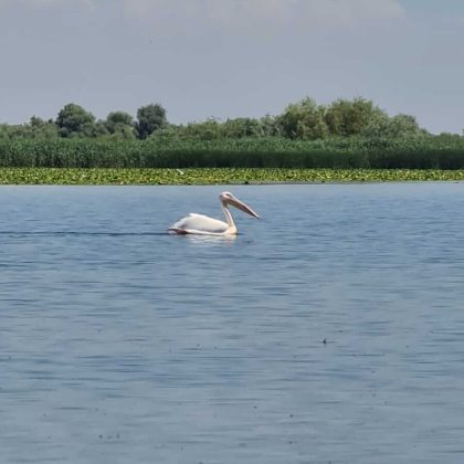 Exploring the Wonders of the Danube Delta 1