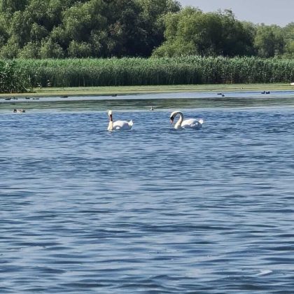 Exploring the Wonders of the Danube Delta 4